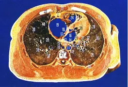 ,卵?9]b愻~52r葱誩剤9?誳?N螝{5n@无L?t壨姅??&amp;Q-九游网页版
